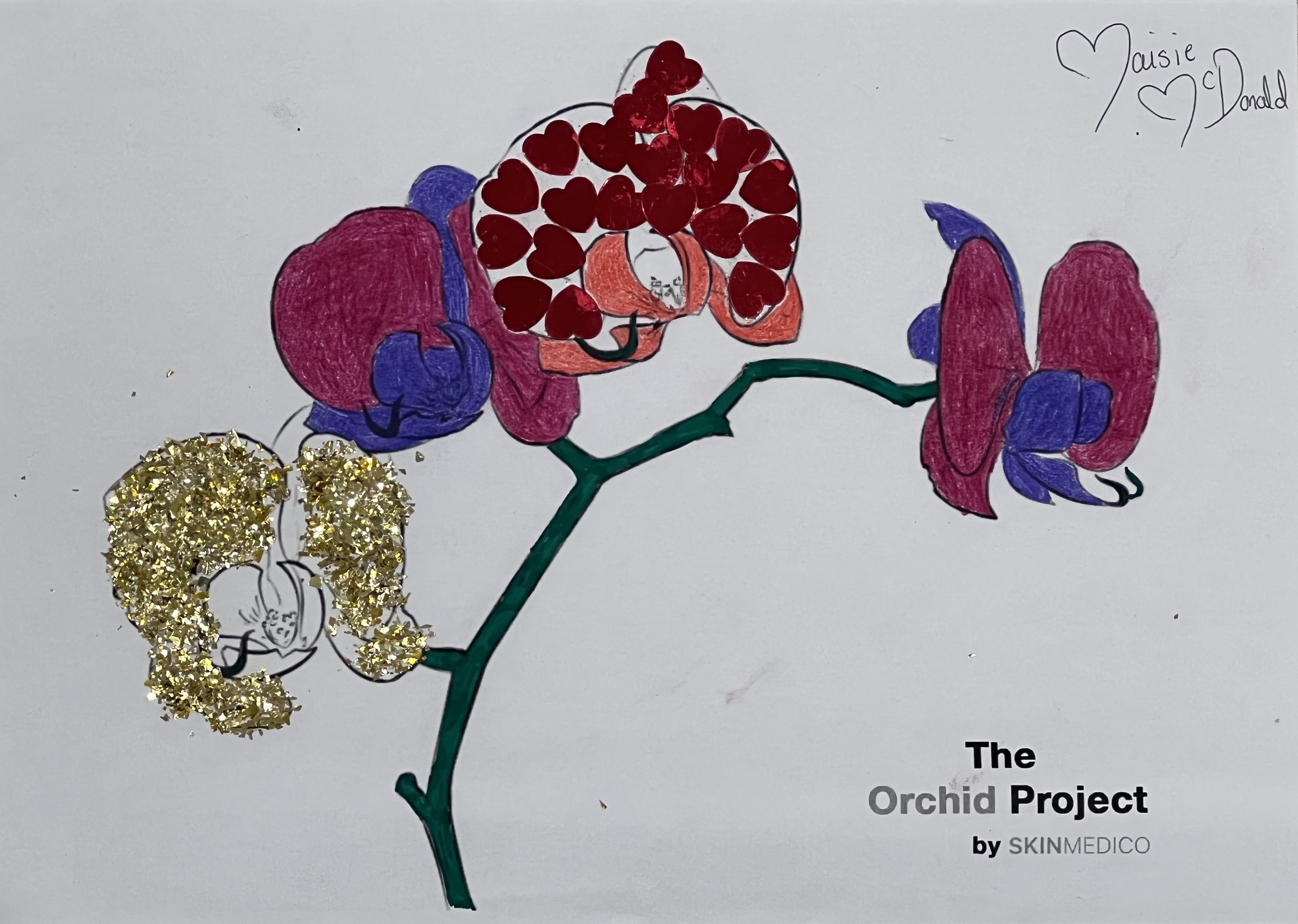 Orchid-Project-0000002